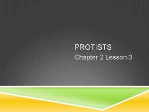 PROTISTS Chapter 2 Lesson 3 PROTISTS A Eukaryotes