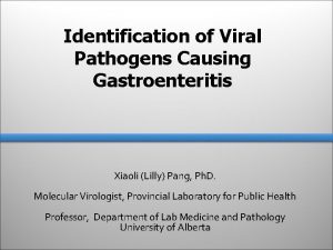 Identification of Viral Pathogens Causing Gastroenteritis Xiaoli Lilly