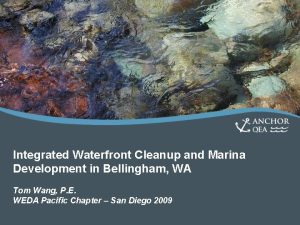 Integrated Waterfront Cleanup and Marina Development in Bellingham