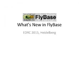 Whats New in Fly Base EDRC 2015 Heidelberg