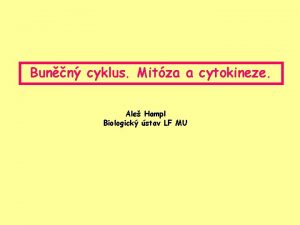 Bunn cyklus Mitza a cytokineze Ale Hampl Biologick