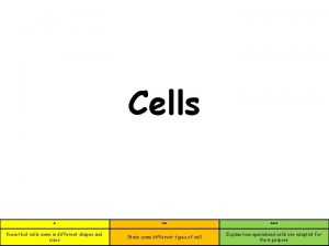Cells Know that cells come in different shapes