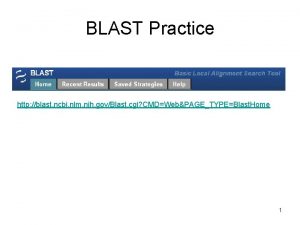 BLAST Practice http blast ncbi nlm nih govBlast