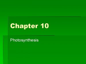 Chapter 10 Photosynthesis Overview The Process That Feeds