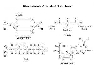 Carbohydrate biomolecule