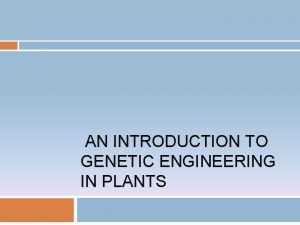 AN INTRODUCTION TO GENETIC ENGINEERING IN PLANTS Genetic