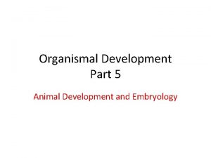 Organismal Development Part 5 Animal Development and Embryology