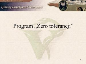 Program Zero tolerancji 1 2 Program ZERO TOLERANCJI
