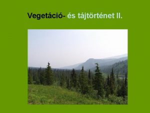 Vegetci s tjtrtnet II A negyedidszak Jgkorszak pleisztocn