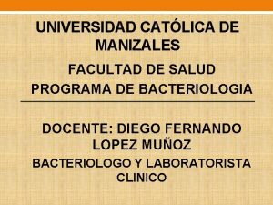 UNIVERSIDAD CATLICA DE MANIZALES FACULTAD DE SALUD PROGRAMA