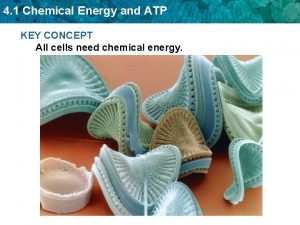 Is atp chemical energy