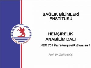 SALIK BLMLER ENSTTS HEMRELK ANABLM DALI HEM 701