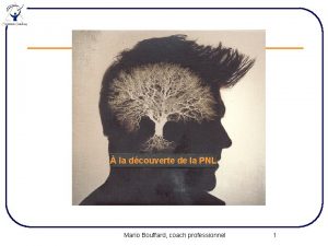 la dcouverte de la PNL Mario Bouffard coach