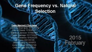 Gene Frequency vs Natural Selection Team Married 2