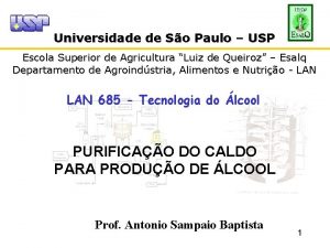 Universidade de So Paulo USP Escola Superior de