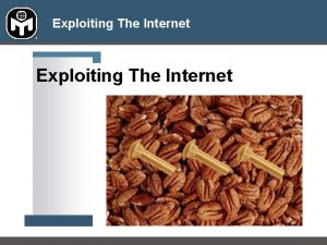 Exploiting The Internet Exploiting The Internet Strategic considerations