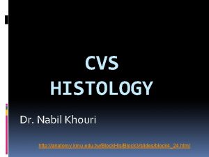 CVS HISTOLOGY Dr Nabil Khouri http anatomy kmu