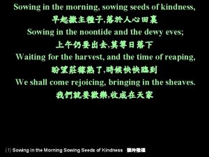 Sowing in the morning sowing seeds of kindness