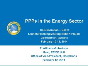 PPPs in the Energy Sector CoGeneration Belize LaunchPlanning