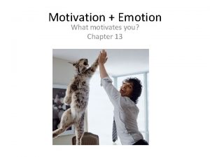Motivation Emotion What motivates you Chapter 13 Definitions