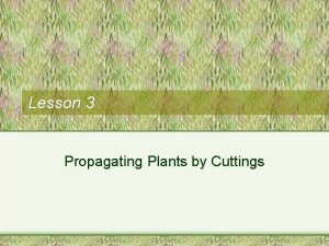 Lesson 3 Propagating Plants by Cuttings Next Generation