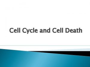 Cell Cycle and Cell Death Cell Cycle The