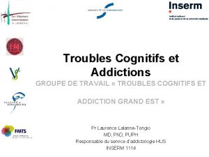 Troubles Cognitifs et Addictions GROUPE DE TRAVAIL TROUBLES