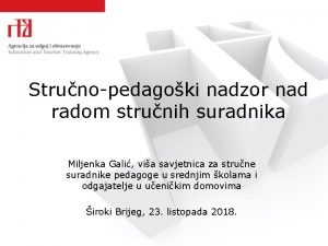 Strunopedagoki nadzor nad radom strunih suradnika Miljenka Gali