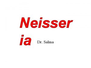 Neisser ia Dr Salma Pyogenic cocci Neisseriae Characters