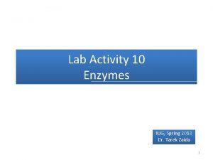 Lab Activity 10 Enzymes IUG Spring 2013 Dr