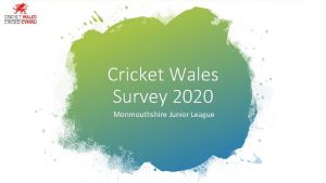 Cricket Wales Survey 2020 Monmouthshire Junior League Detail