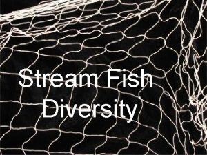 Stream Fish Diversity Ecological Principles of Diversity 1