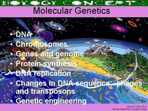 Molecular Genetics DNA Chromosomes Genes and genome Protein