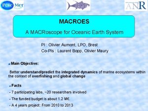 MACROES A MACRoscope for Oceanic Earth System PI