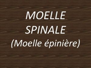 MOELLE SPINALE Moelle pinire A INTRODUCTION Le systme