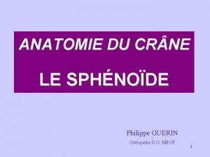 ANATOMIE DU CR NE LE SPHNODE Philippe GUERIN