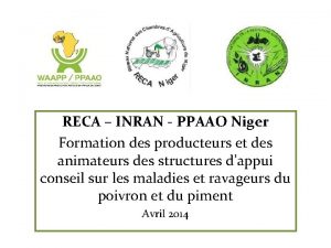 RECA INRAN PPAAO Niger Formation des producteurs et