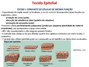Tecido Epitelial TECIDO CONJUNTO DE CLULAS DE MESMA