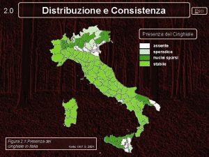 2 0 Distribuzione e Consistenza Presenza del Cinghiale