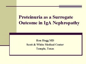 Proteinuria as a Surrogate Outcome in Ig A