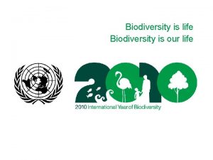 Biodiversity is life Biodiversity is our life Biodiversity