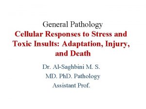 General Pathology Cellular Responses to Stress and Toxic
