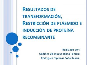 RESULTADOS DE TRANSFORMACIN RESTRICCIN DE PLSMIDO E INDUCCIN