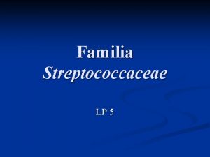 Familia Streptococcaceae LP 5 Caractere generale n n