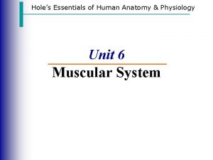 Holes Essentials of Human Anatomy Physiology Unit 6