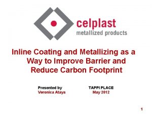 Inline Coating and Metallizing as a Way to