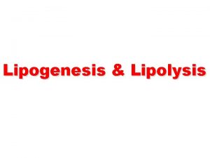 Lipogenesis Lipolysis Lipogenesis Triacylglycerol synthesis Definition Lipogenesis is