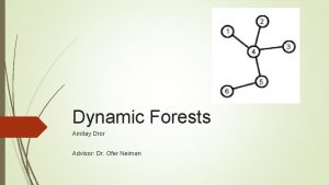 Dynamic Forests Amitay Dror Advisor Dr Ofer Neiman