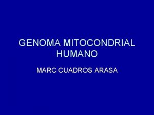 GENOMA MITOCONDRIAL HUMANO MARC CUADROS ARASA CARACTERSTICAS GENERALES