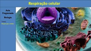 Respirao celular Aula Programada Biologia Tema Respirao celular